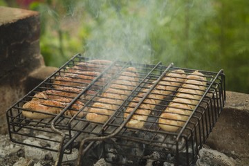 Grilled sausages on nature