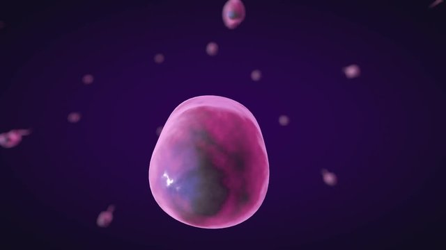 Cholera disease bacteria. Animation of Vibrio cholerae bacterium moving