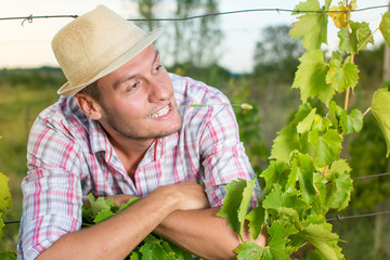 Happy young farmer at the vineyard
