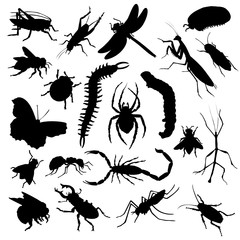 Set of insect silhouettes