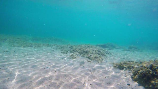 underwater view of a rocky seabed