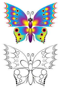 Colorful and black and white pattern butterfly, vector cartoon image.