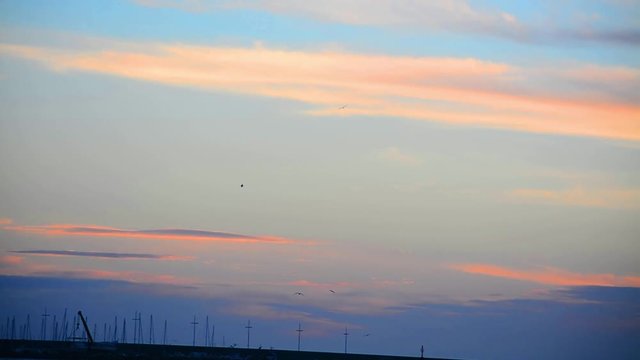 seagull flying over Alghero harbor at dusk