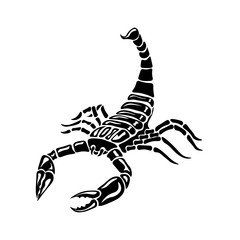 Black and white Scorpion for tattoos, zodiac sign