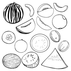 Melons set graphics