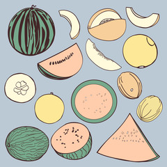 Melon and watermelon color set