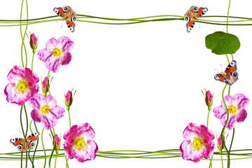 The buds of flowers roses. Holiday card