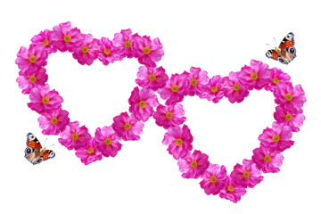 Heart of flowers rose isolated on white background.