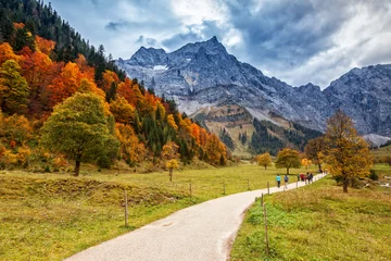 Photo sur Aluminium Automne Chemin à travers le paysage de montagne d& 39 automne dans les Alpes, Engalm, Autriche, Tyrol.