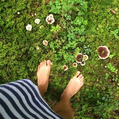 Fototapete bei efototapeten.de bestellen   