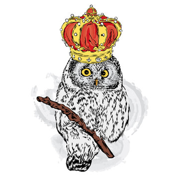 Beautiful owl with crown. Vector illustration for greeting card, poster, or print on clothes. Fashion & Style.