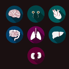Anatomy icons