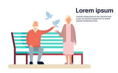 Senior Couple Grandmother And Grandfather Bench In Park Outdoors