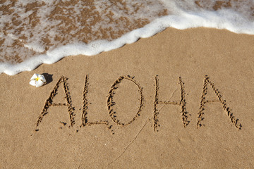 Aloha in the Sand