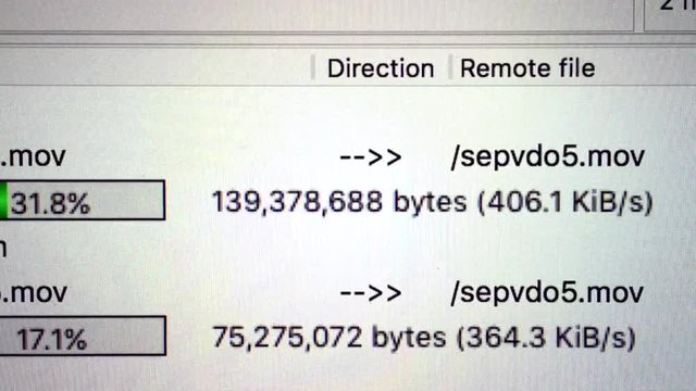 scale of loading of files on the FTP server from computer monitor 