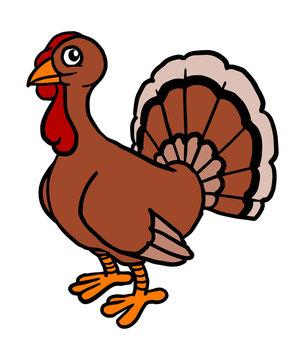 Thanksgiving doodle of hand drawn cartoon turkey