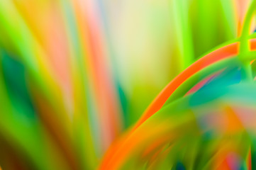 fresh colorful abstraction
