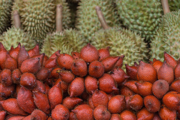 Thai exotic fruits (Salak and Durian) in market