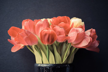 Tulips flower in black
