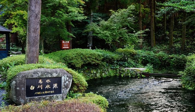 阿蘇の白川水源
