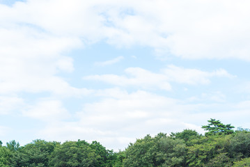 Fototapeta premium 青空と雲