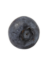 Blueberry