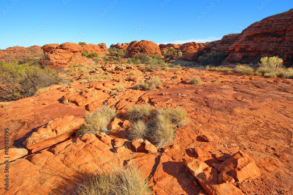 Poster Kings Canyon, Australia