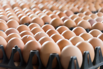 Obraz premium Eggs from chicken farm in the package that preserved for sale