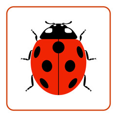 Ladybug small icon. Red lady bug sign, isolated on white background. Wildlife animal design. Cute colorful ladybird. Insect cartoon beetle. Symbol of nature, spring, summer. Vector illustration