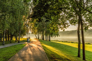 Trees by the river