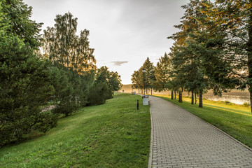 Park in summer