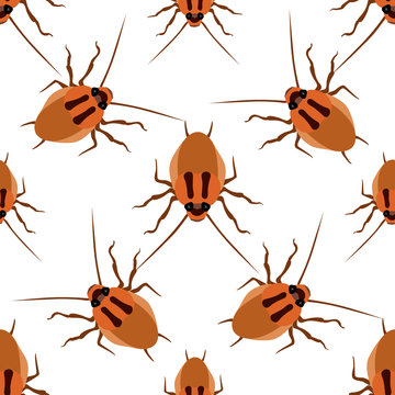 Seamless pattern cockroach on a white background