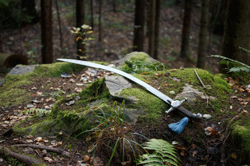 Sabre on mossy cliff