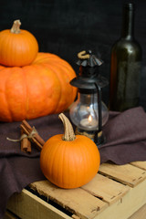 still life of pumpkins