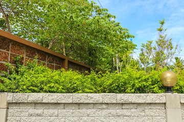 Brick wall and green leaf