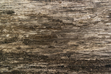 Wood Texture For Background. (Background Of Wood Texture)