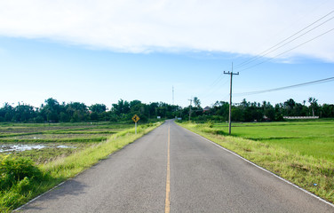 Fototapeta na wymiar The road pass green rice field