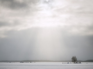 Winter sea landscape