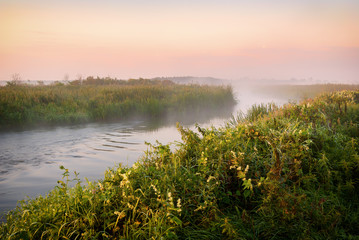 Pastelowy poranek nad Narwią