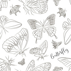 Butterflies set pattern