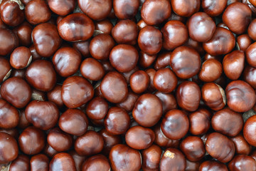 Pile of Chestnuts