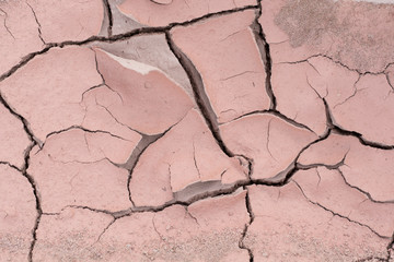 cracked earth