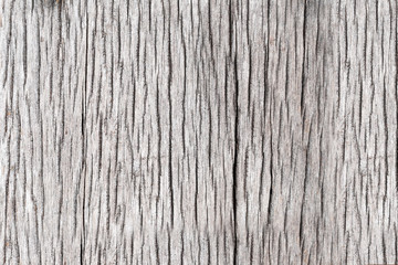 Old wood texture.