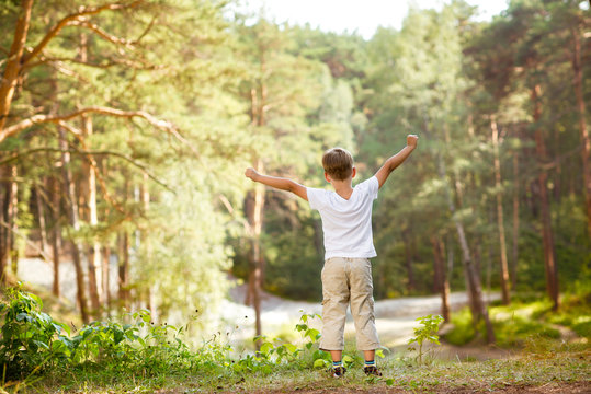 the little boy enjoys the nature