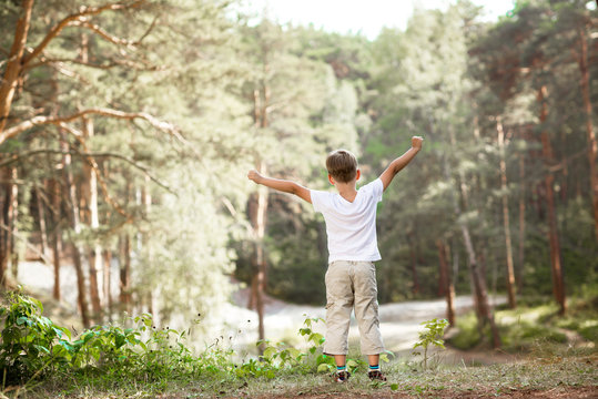 the little boy enjoys the nature