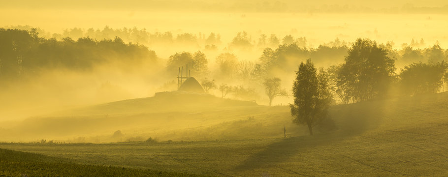 Fototapeta Piękny,mglisty wschód słońca nad wiejską łąką  