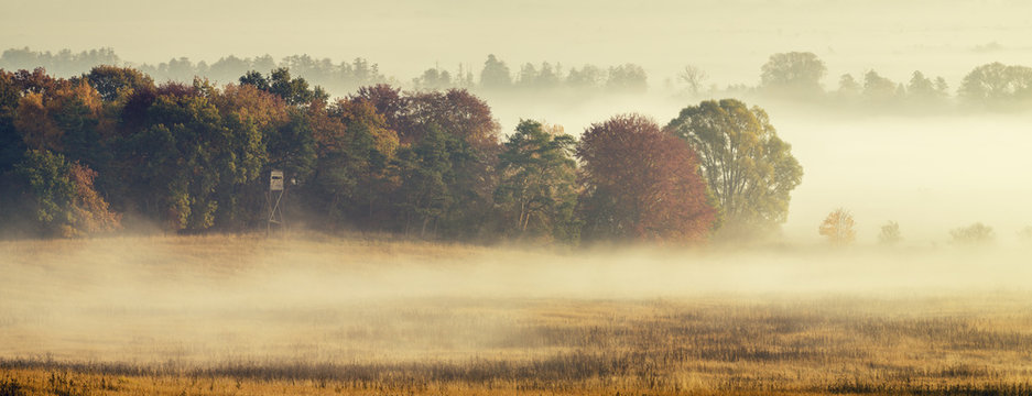 Fototapeta Piękny,mglisty wschód słońca nad wiejską łąką