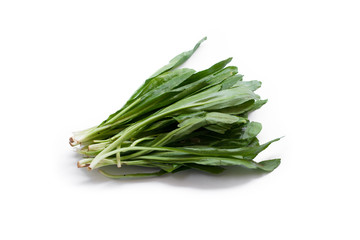 Culantro isolated on white background