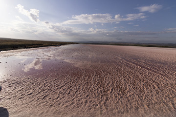 Pool of pink salt water for salt production.