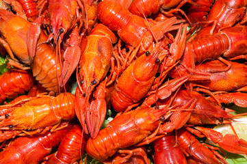 Boiled crawfish with beer